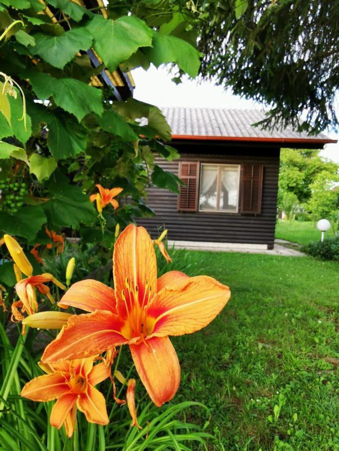 Merikotka - A Cozy Wooden Cottage, Slovenia 블라슬로브체 지방 자치제 외부 사진