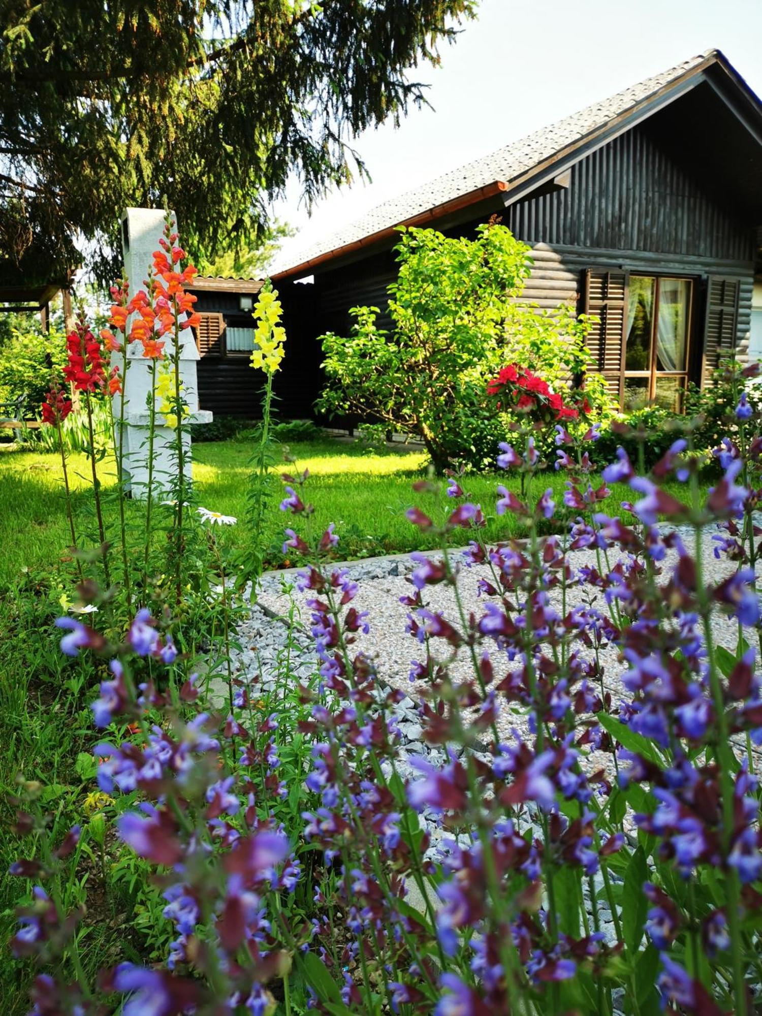 Merikotka - A Cozy Wooden Cottage, Slovenia 블라슬로브체 지방 자치제 외부 사진