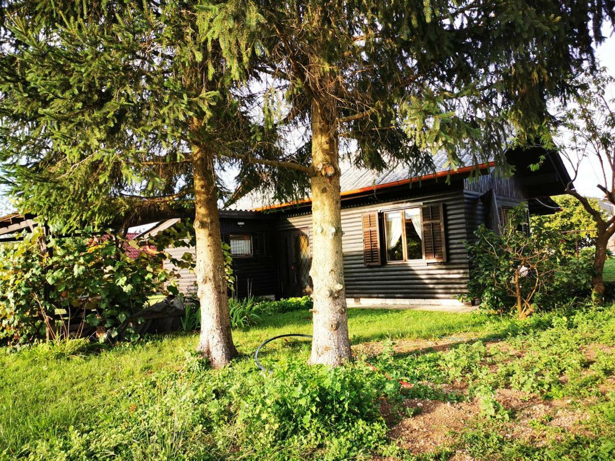 Merikotka - A Cozy Wooden Cottage, Slovenia 블라슬로브체 지방 자치제 외부 사진